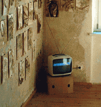 ameisen ausstellungs